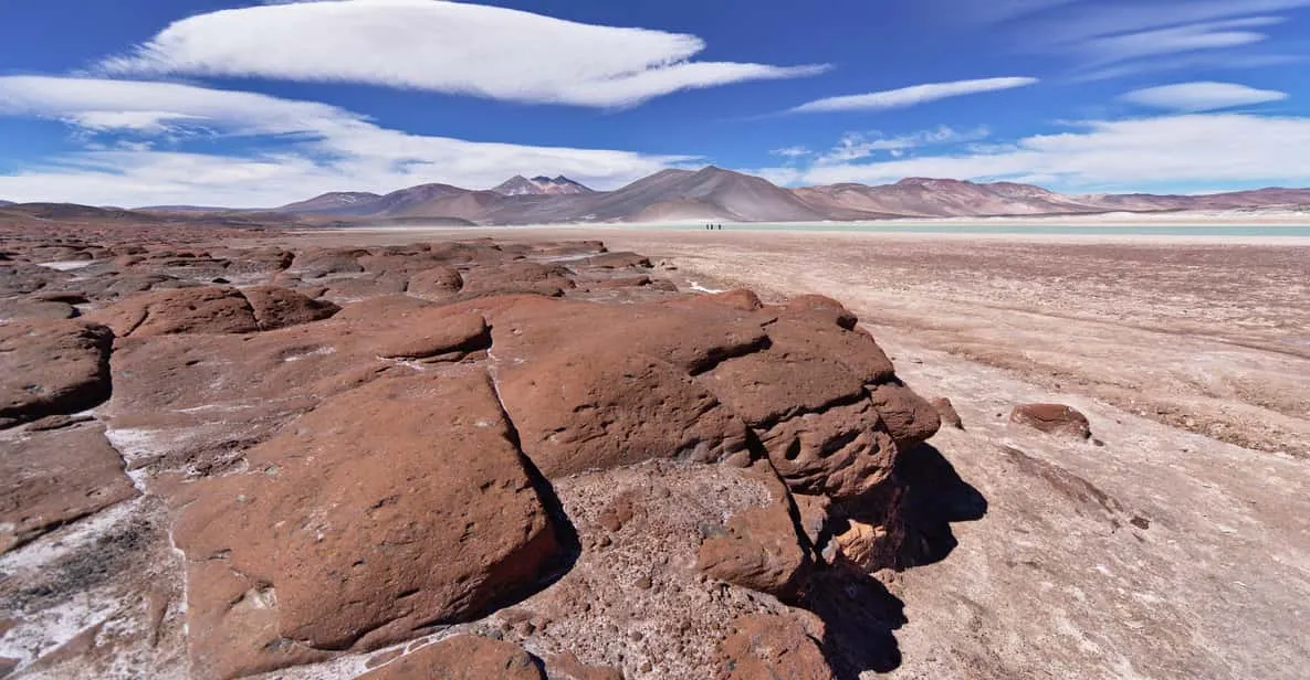 Piedras Rojas Full-Day Tour: Altiplanic Lagoons & Chaxa