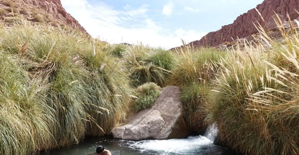 Atacama Canyon Trekking Hot Springs: Purilibre Review